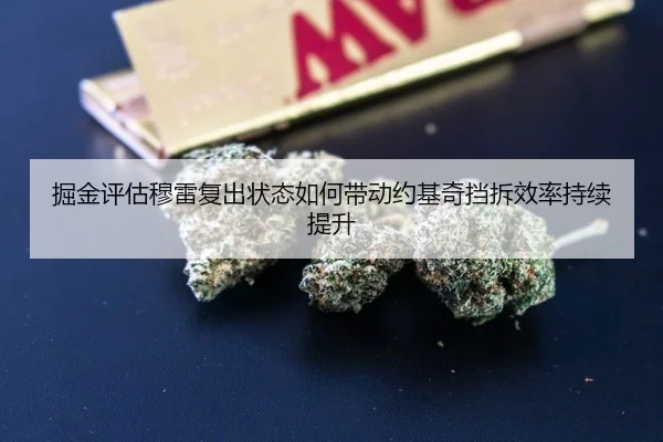 掘金评估穆雷复出状态如何带动约基奇挡拆效率持续提升